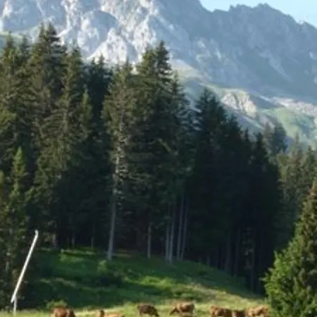 Pratique A Valmorel, Pied Des Pistes, 4 Couchages, Proche Remontees Et Commerces - Fr-1-356-363 شقة